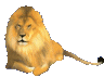 leo-small.gif